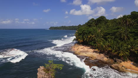 A-lush-tapestry-of-dense-greenery-adjacent-to-the-vast-expanse-of-the-ocean.