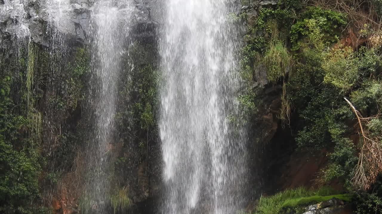 cascada del río cocodrilo que fluye y cae sobre rocas en los jardines botánicos nacionales walter sisulu en roodepoort, sudáfrica