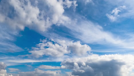 lovely soft clouds changing shapes quickly in the sky. diverse types of clouds in atmosphere. low angle view. timelapse.