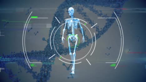 animación del procesamiento de datos y el esqueleto sobre la cadena de adn