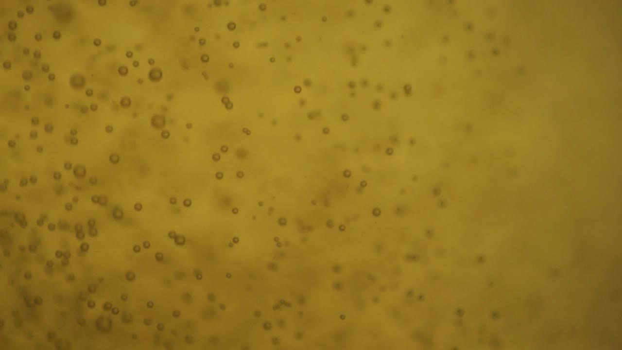 Close-up macro shot of golden beer being poured into a glass, with crisp bubbles and foam forming. Perfect for beverage or lifestyle themes.
