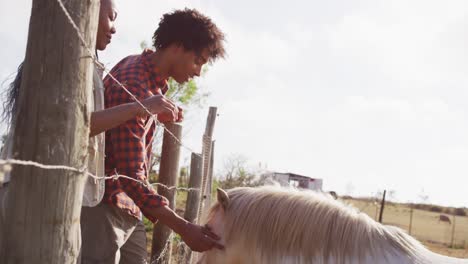 happy african american couple feeding horses together on sunny day, slow motion