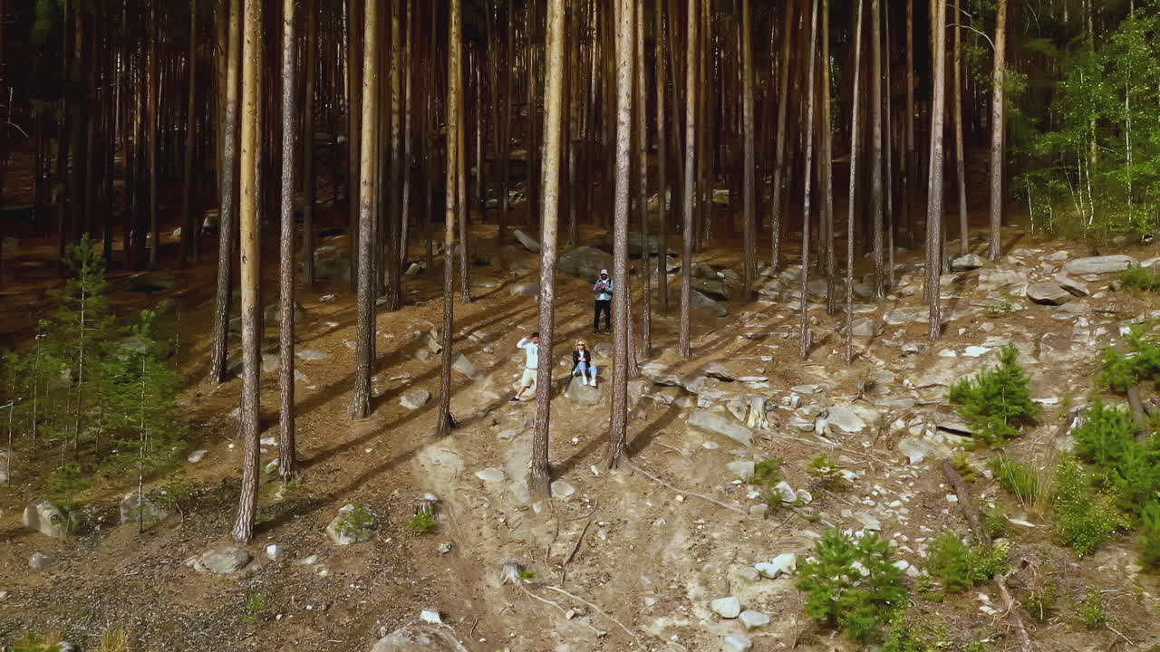 personas caminando en un bosque de pinos