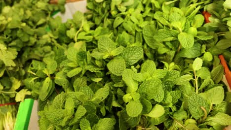 various fresh herbs displayed at a market