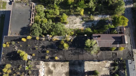 trees growing of rooftop of abandoned packard plant in detroit, aerial view