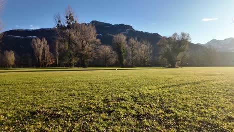 switzerland rural field grass nature outdoor sun glare sunrise countryside europe