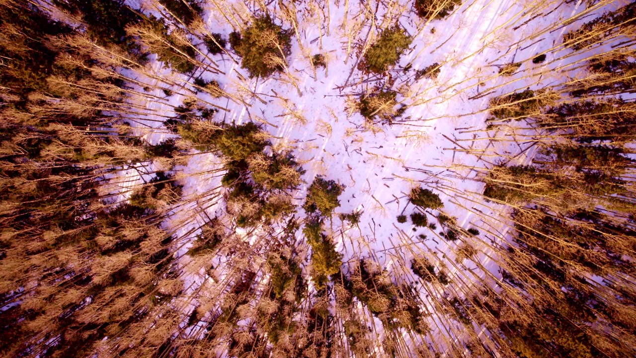Riprese con drone che sorvolano aspre formazioni rocciose cremisi.