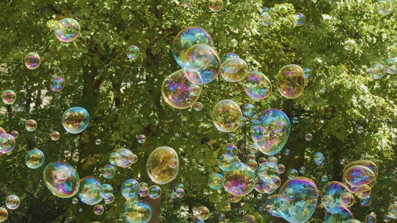 Iridescent soap bubbles float upward in slow motion against sunlit green trees in a park