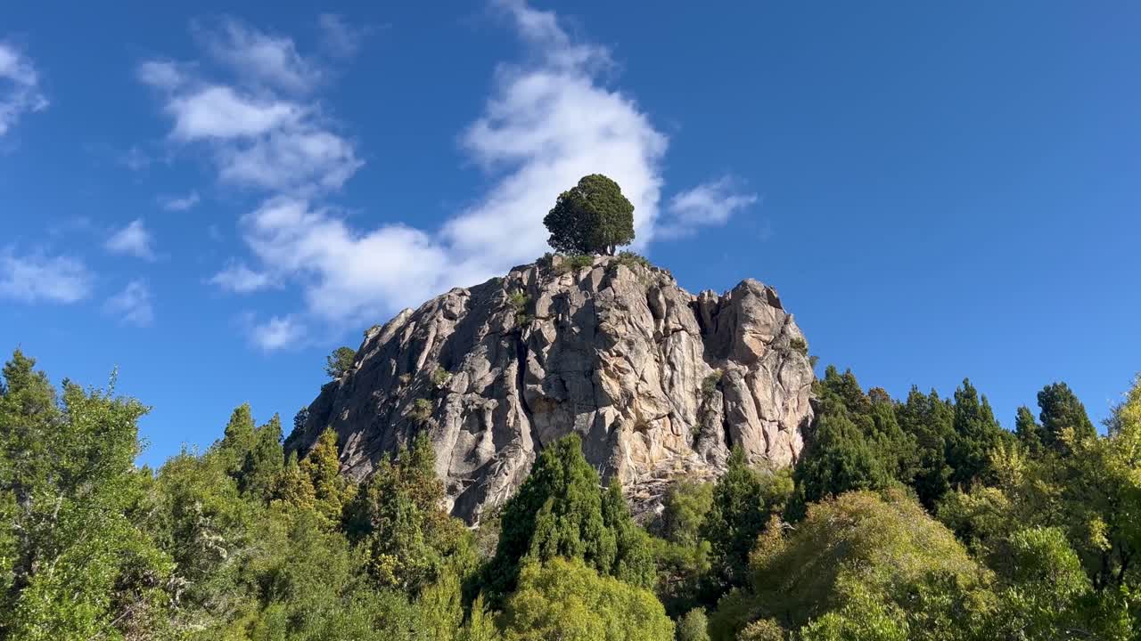 A solitary tree standing on top of a rocky peak, overlooking a lush, green valley in Patagonia