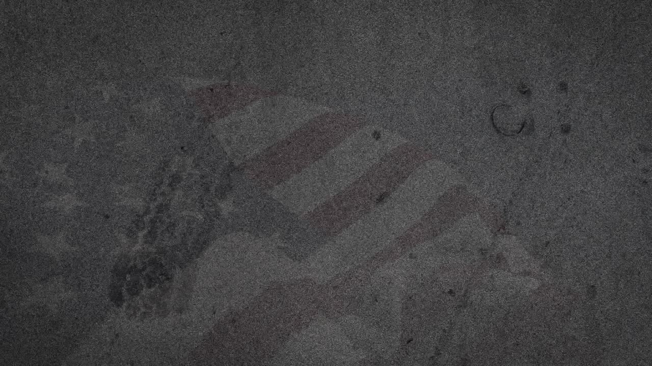 Undercurrent causing camera drifting over seabed ripples revealing sponge and circular depressions