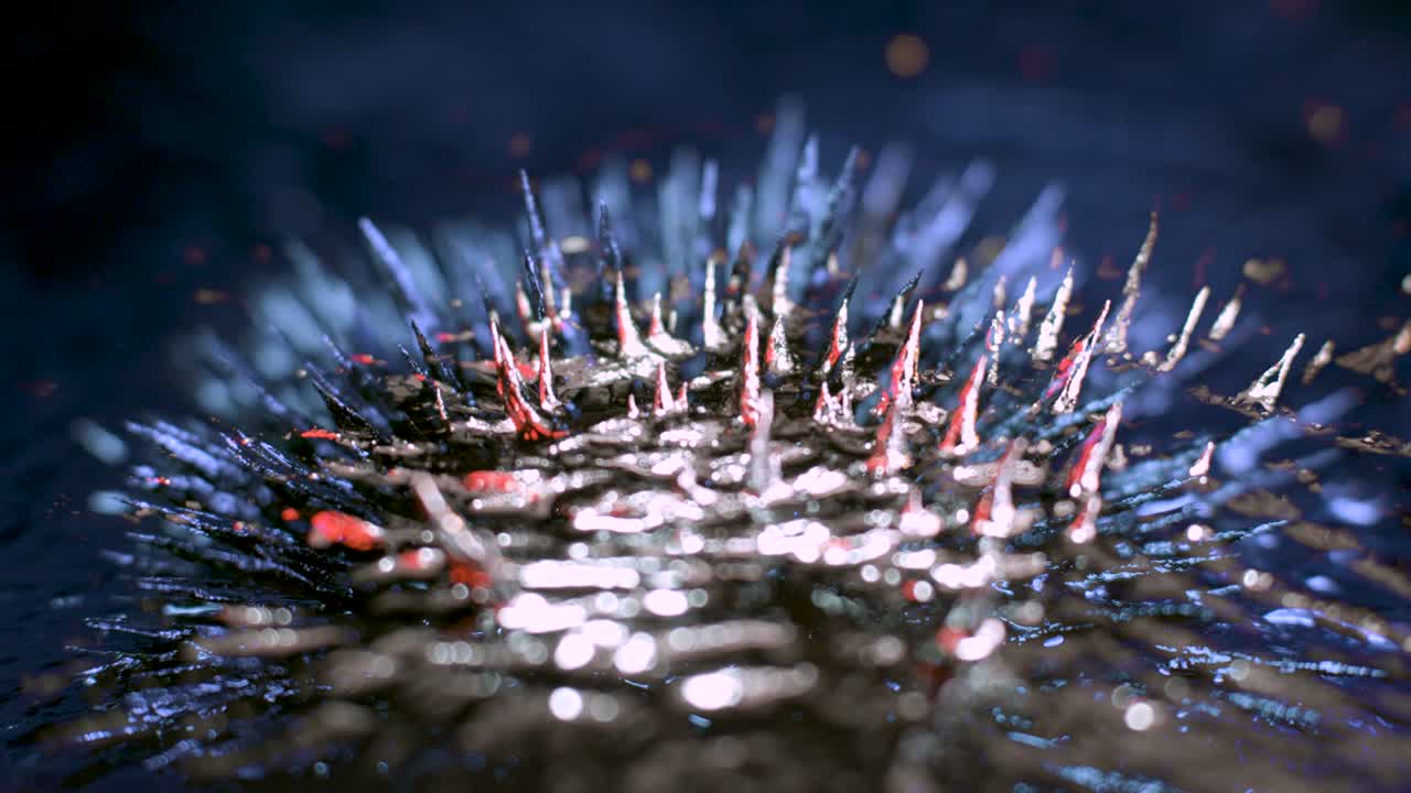 4k 페로 필링 영상