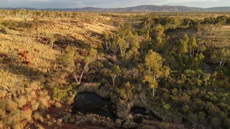 Green-oasis-in-middle-of-Australian-desert,-Karijini-in-Western-Australia