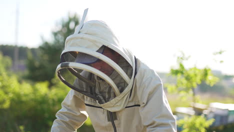 apiarist wearing protective suit and hat looks at frame totally covered with bees. barehanded man puts the frame into hive. blurred nature backdrop.