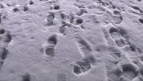 footprints in the snow loop