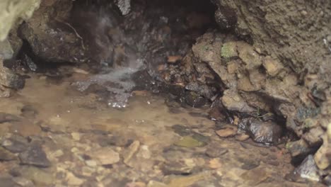 pequeño manantial subterráneo que vierte agua sobre guijarros y rocas.