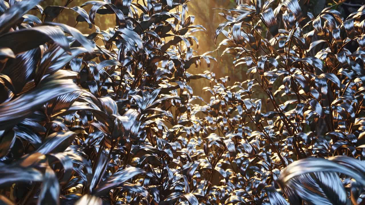 Sunlight Filtering Through Lush Foliage