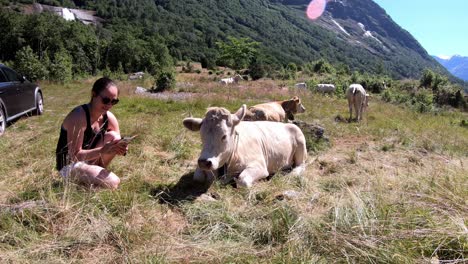 la turista morena se une y se abraza con la vaca feliz relajándose en la hierba - ganado en el paisaje montañoso al aire libre - nordfjord noruega