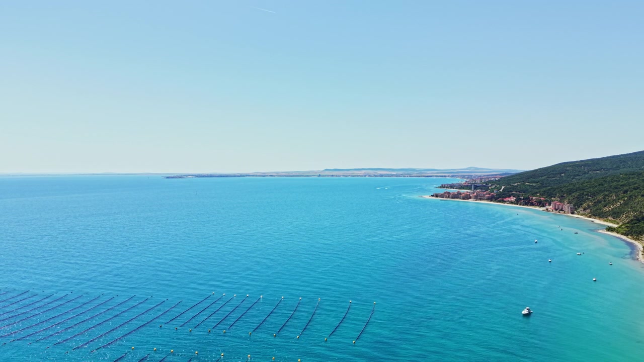 Un allevamento di cozze situato nelle acque limpide e azzurre del mare, con diverse linee visibili sotto la superficie, durante una giornata di sole splendente.