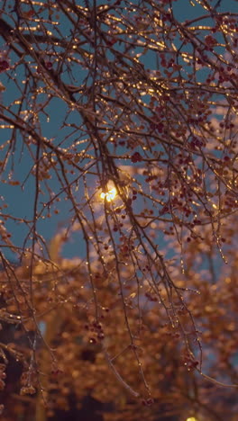 tree branches adorned with frost and red berries sparkle under golden light, creating a serene winter scene against a clear blue sky, with contrast of vivid red berries and shimmering frost