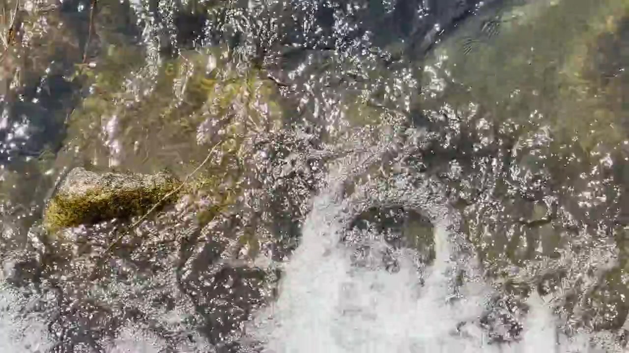 La luce del sole luccica sull'acqua cristallina del fiume che scorre impetuosa sulle pietre, con schiuma bianca e bolle.