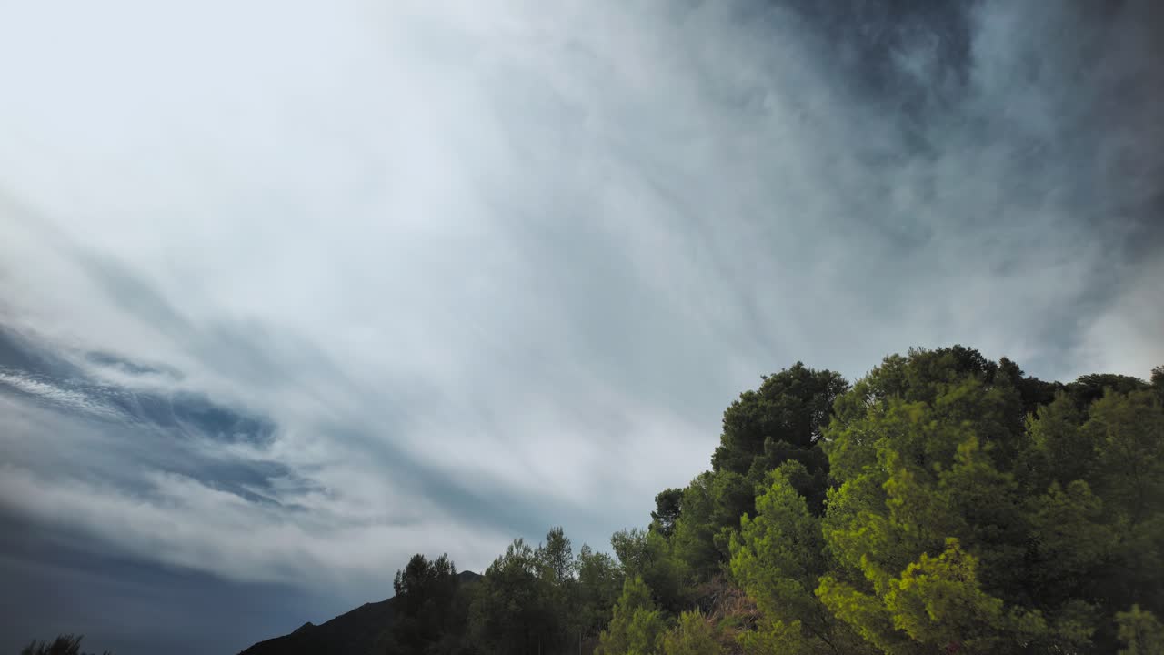 Cloud timelapse at the forest