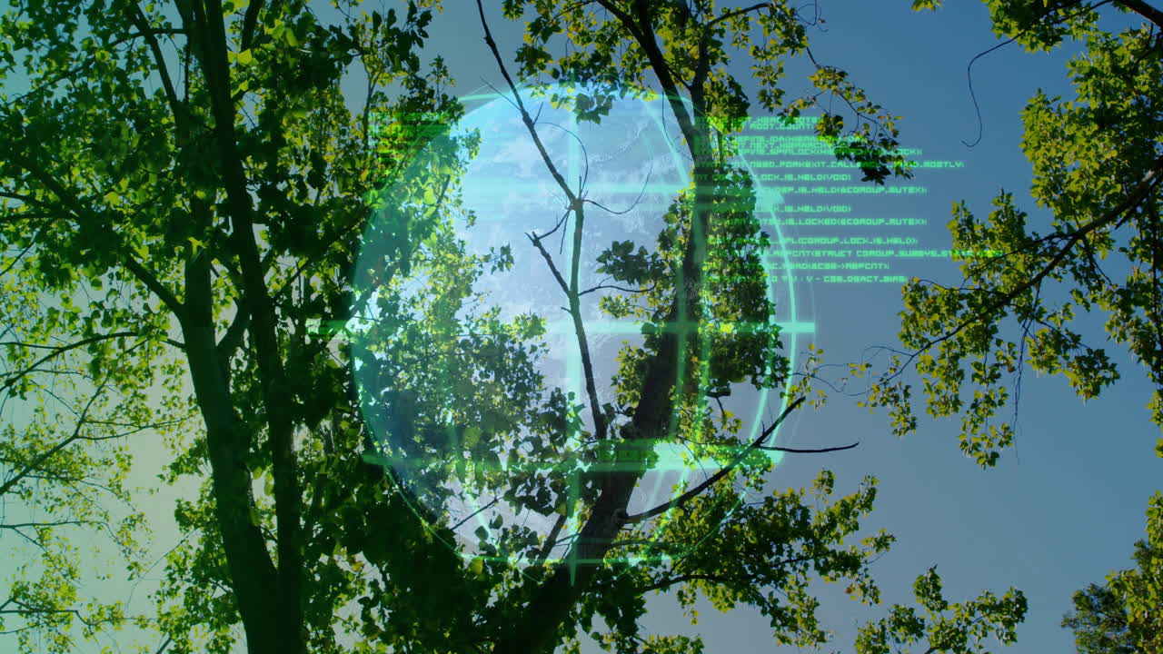 designer exploring woodland canopy using tech interface featuring holographic Earth globe overlay