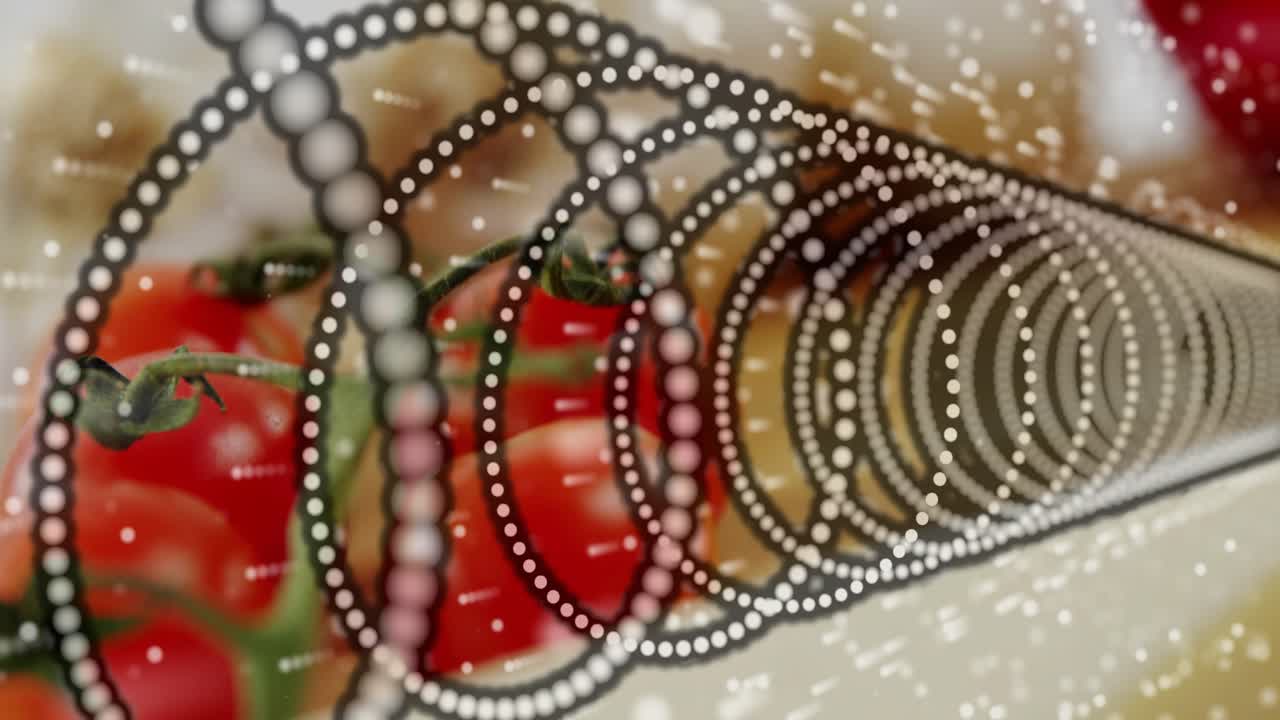 Playback starting concentric dotted ring tunnel moving across board revealing tomatoes and garlic
