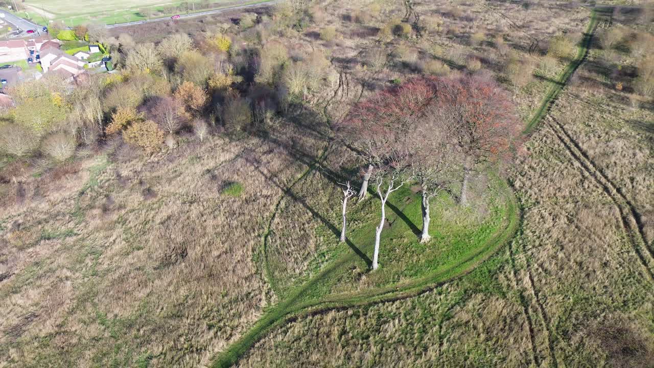 Aerial of 6 lone trees on ancient burial site with houses in distance. Seven Sisters - Houghton-le-Spring, UK
