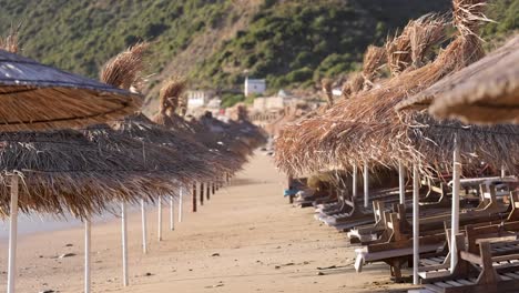 straw beach umbrellas on the beach with wind blowing in slow motion