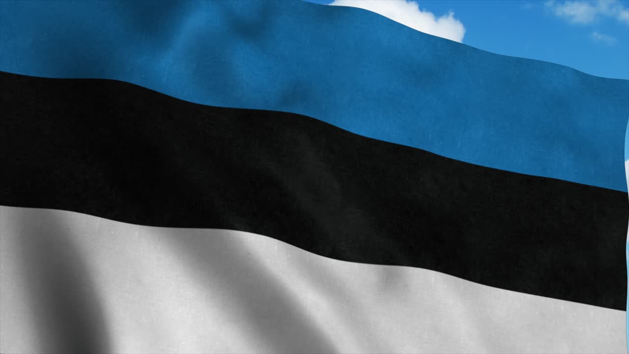 에스토니아의 발이 바람에 흔들리고, 푸른 하늘의 배경.