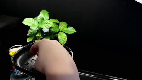 the child puts pieces of apple fruit in the juice squeezer, black background with green leaves on back