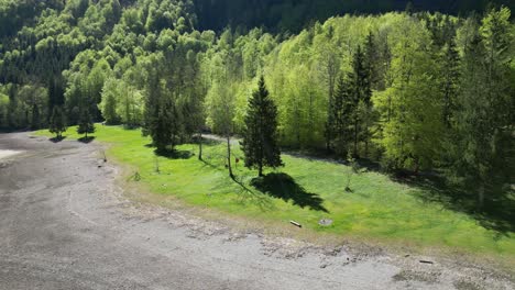 vista del bosque cerca del lago klöntalersee glarus canton, suiza