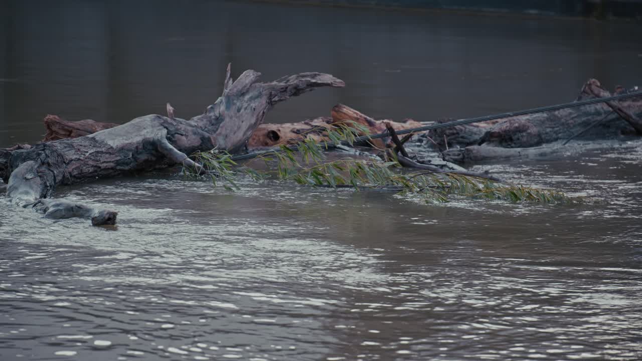 Large driftwood floats in floodwaters in Budapest, Hungary, during the 2024 flood