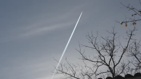 Jet-contrails-behind-a-tree-during-winter-in-Biscarrosse-France,-Looking-up-shot