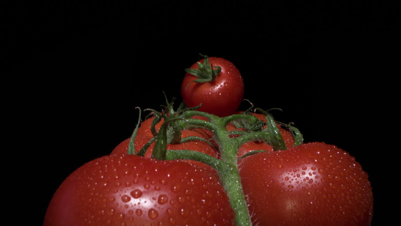 클로즈업에 체리 토마토의 무리