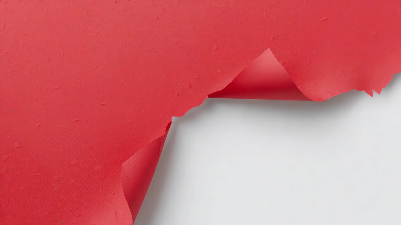 Strappo di un foglio di carta rossa, strappo manuale che rivela il supporto bianco su un tavolo da studio, con alette arricciate