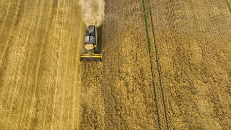 Draufsicht-Auf-Einen-Mähdrescher,-Der-Beim-Ernten-Von-Weizen-Auf-Einem-Riesigen-Feld-Staub-Aufwirbelt