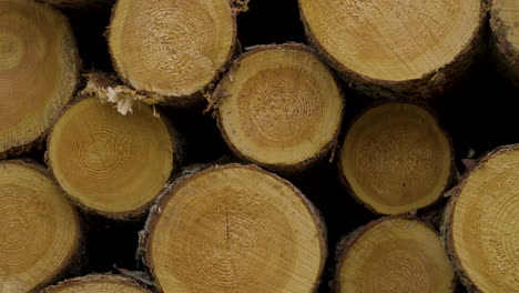 empujar lentamente las pilas de madera apiladas para leña - hermosa madera dorada con patrón