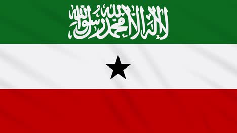 somaliland flag waving cloth, ideal for background, loop