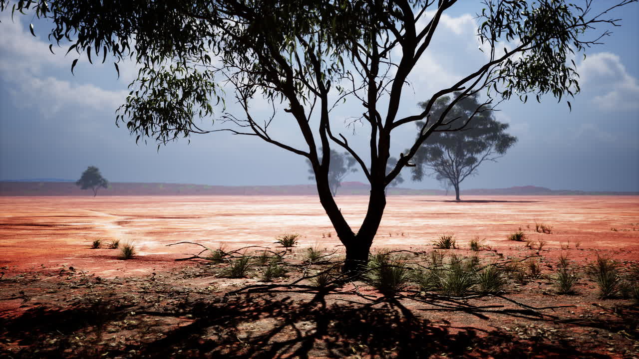 오스트레일리아 외의 풍경: 광활한 하늘 아래의 건조한 평야