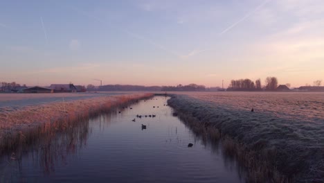 flying over a ditch in the dutch countryside during winter morning, aerial