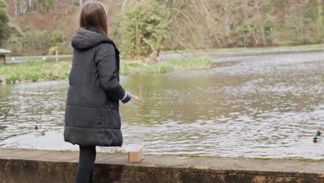 a young female child feeds ducks and other birds bread crumbs at a local lake