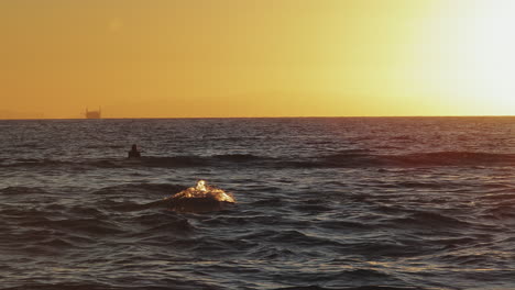 lone surfer waiting for the last wave of the day at sunset