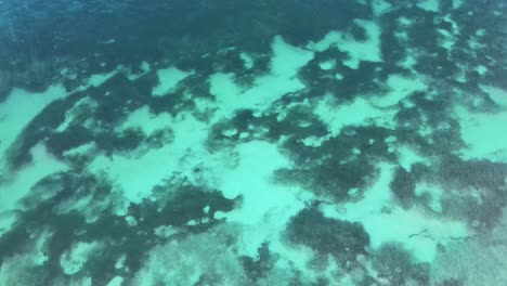 vista aérea del hermoso mar azul claro