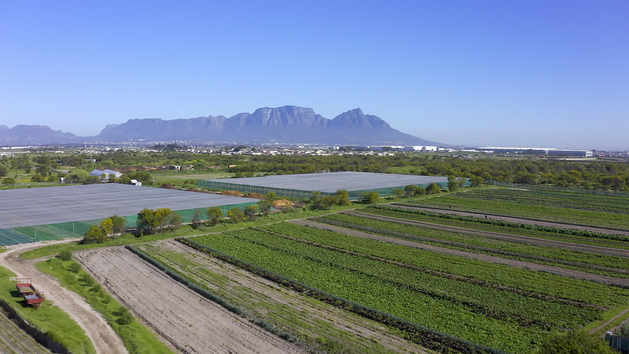 esta granja tiene todo lo que necesita para tener éxito.