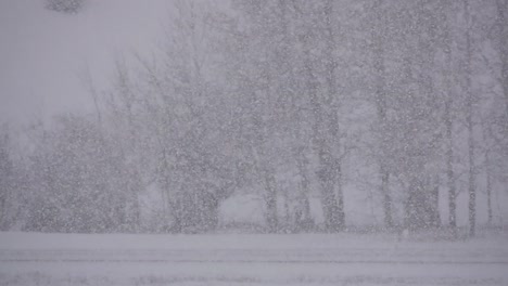 view of trees in the distance blanketed by thick snow