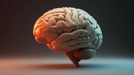 an artistic exploration of the human brain: captivating visuals showcasing the intricacies and complexities of neural structures in 3d art
