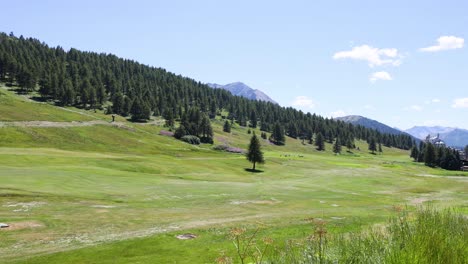 lush green hillside with distant mountains