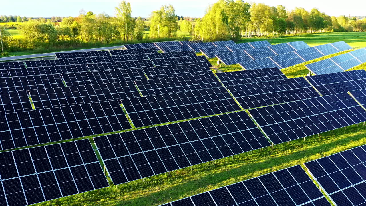 Large solar panel field installed on grassy clearing surrounded by trees on sunny evening