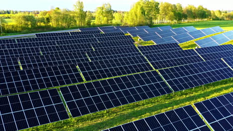 large solar panel field installed on grassy clearing surrounded by trees on sunny evening